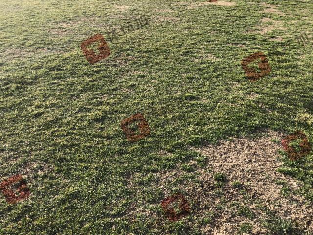 1677679052116023253.jpg 微信图片_20230301214456.jpg